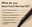 What do you learn from the <br>test kit?