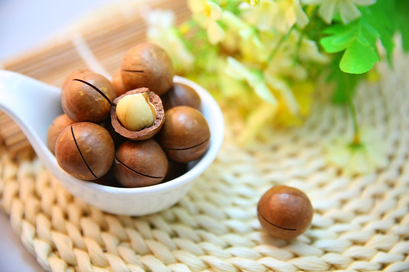 Feed Your Hair Macadamia Nut Oil